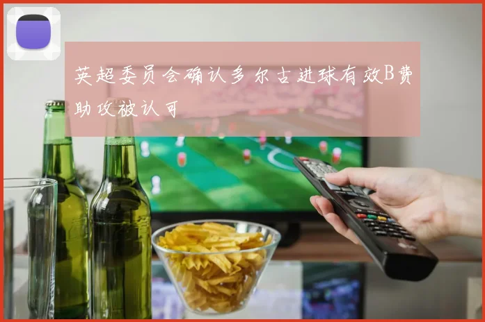 英超委员会确认多尔古进球有效B费助攻被认可