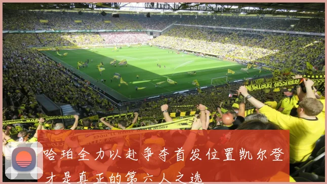 哈珀全力以赴争夺首发位置凯尔登才是真正的第六人之选